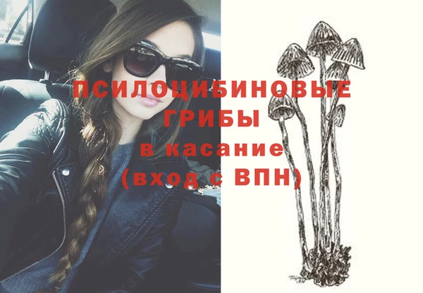 PSILOCYBIN Осинники