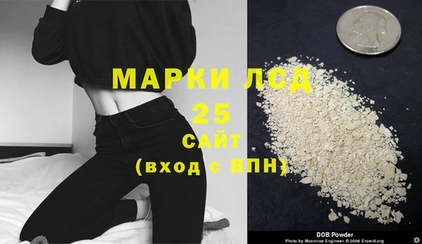 PSILOCYBIN Осинники