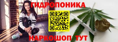 бошки Дубна