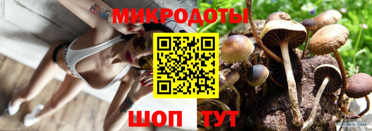 Курчалой  Галлюциногенные грибы Magic Shrooms  Вход с VPN 