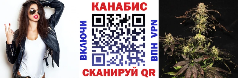 Шишки марихуана ГИДРОПОН  где можно купить наркотик  Курчалой 