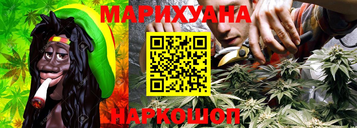 Конопля Ganja Курчалой
